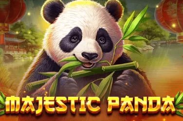 Tampilan tabel Paito Harian pada platform aman toto dengan data historis lengkap